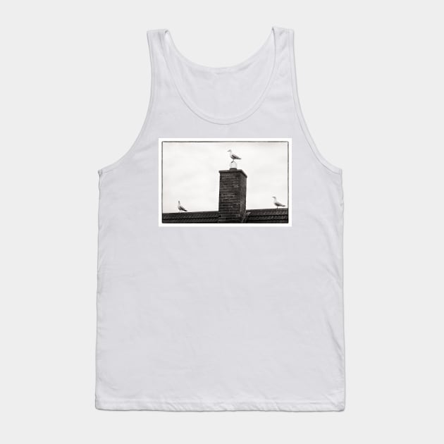 Three seagulls - Beadnell, Northumberland, UK Tank Top by richflintphoto